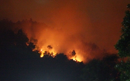 500 người khống chế đám cháy rừng
